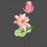 lotus flower bloom and bud. 3d realistic vector set of white and pink lotus flowers, stems and leaves for advertisement and invitation.