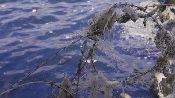 natura inquinamento e acqua scarsità. plastica spazzatura e covid 19 maschere gettato in il mare. video