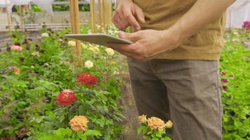 Modern floristry. Gardener's hand and tablet in close-up. Close-up hands of gardener working with tablet in greenhouse. video