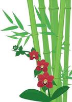 Green bamboo stems and bright orchid flowers composition vector illustration