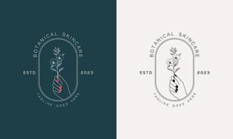 Minimal feminine botanical floral branch and logo. Hand-drawn wedding herb, home plant with elegant leaves. Botanical rustic trendy greenery vector