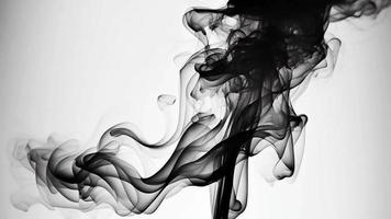 Black smoke isolated on white background. Motion. video