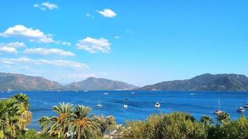 beautiful seascape with sea palm trees and mountains, summer background, vacation background, copy space photo