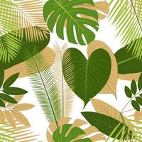 Tropical leaves pattren and palm leaves on a white background vector