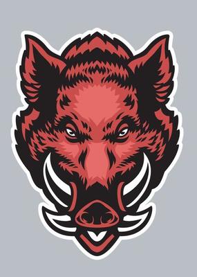 head of wild boar mascot