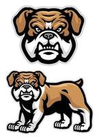 set of english buldog mascot vector