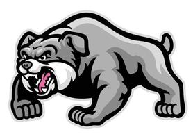 mascot of muscle bulldog vector