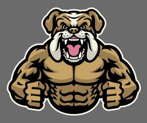 muscle angry bulldog