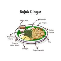 Rujak cingur mixture of fruits vegetables with spicy peanut sauce and slice of beef snouts vector