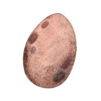 Brown egg. watercolor illustration vector