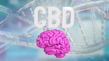 Brain and cbd text for medical or sci concept 3d rendering photo