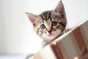 A cute kitten looking out of a present box created with technology. photo