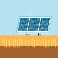 solar energía paneles en un campo vector