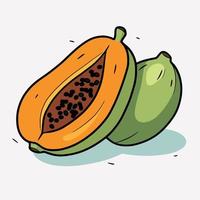papaya fruit cut in half vector