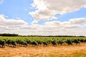 Scenic rural landscape photo