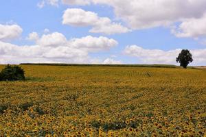 Scenic rural landscape photo