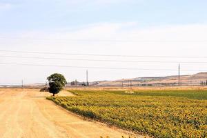 Scenic rural landscape photo