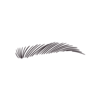 Black Eyebrow Drawing png