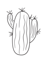 mano dibujar cactus línea Arte png