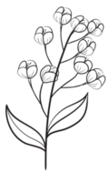 Hand draw, Branch with Flowers,Line Art png