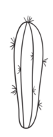 Hand zeichnen Kaktus Linie Kunst png