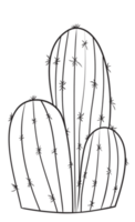 mano disegnare cactus linea arte png