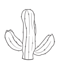 mano disegnare cactus linea arte png