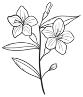 main dessiner, branche avec fleurs, ligne art png