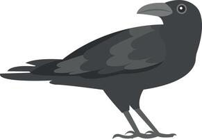 crow vector illustration on a background.Premium quality symbols.vector icons for concept and graphic design.