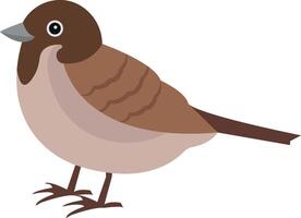 sparrow vector illustration on a background.Premium quality symbols.vector icons for concept and graphic design.