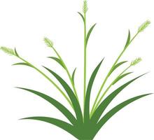 grass icon design template vector isolated white background. grass icon design template