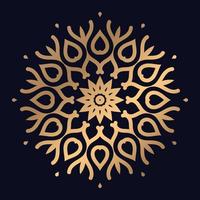 Abstract Floral Round Ornament mandala design background vector