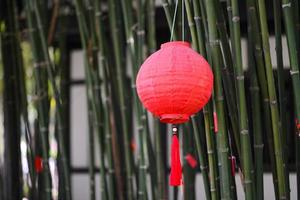 Chinese lamp in Chinese New Year photo