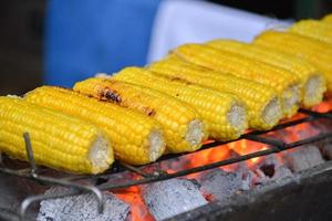 Closeup grilled corn vegetable food background photo