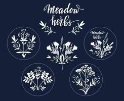 Meadow Herbs Bouquets vector