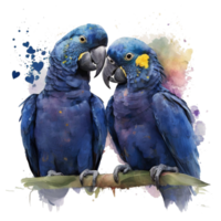 Love Hyacinth Macaw  Birds Watercolor art . AI Generated png