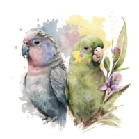 Parakeets watercolor . AI Generated png
