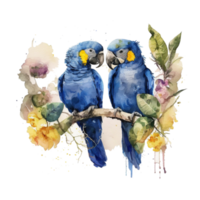 Love Hyacinth Macaw  Birds Watercolor art . AI Generated png