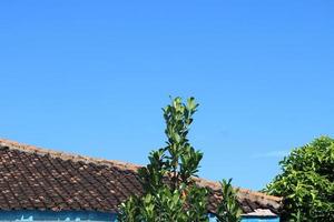 photo of the blue sky above the roof tiles of the house