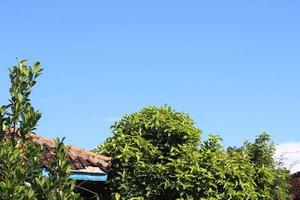 photo of the blue sky above the roof tiles of the house