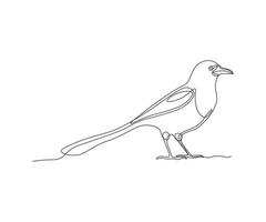 abstract Magpie Bird Continuous One Line Drawing vector