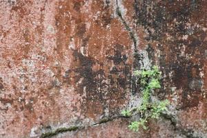 photo of red wall texture with cement on the wall