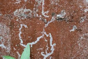 photo of red wall texture with cement on the wall