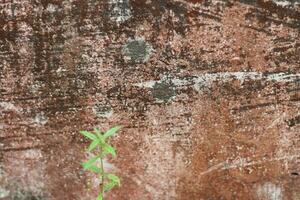 photo of red wall texture with cement on the wall