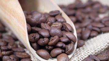 Haut vue de Frais café des haricots sur blanc Contexte video