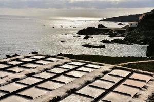 Salt Flats in the Canary Islands photo