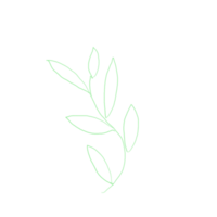 green leafs on transparent background flower flora decoration icon png