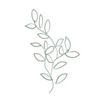 green leafs on transparent background flower flora decoration icon png