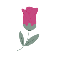 Grün Blätter auf transparent Hintergrund Blume Flora Dekoration Symbol png