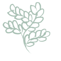 hand draw element cloud leaf flower png